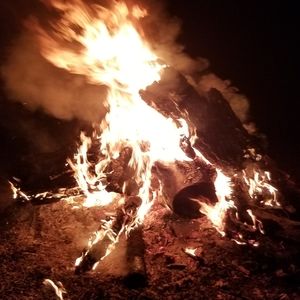 Meet your Posher, Britney